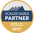 SAFe Gold SPCT Partner